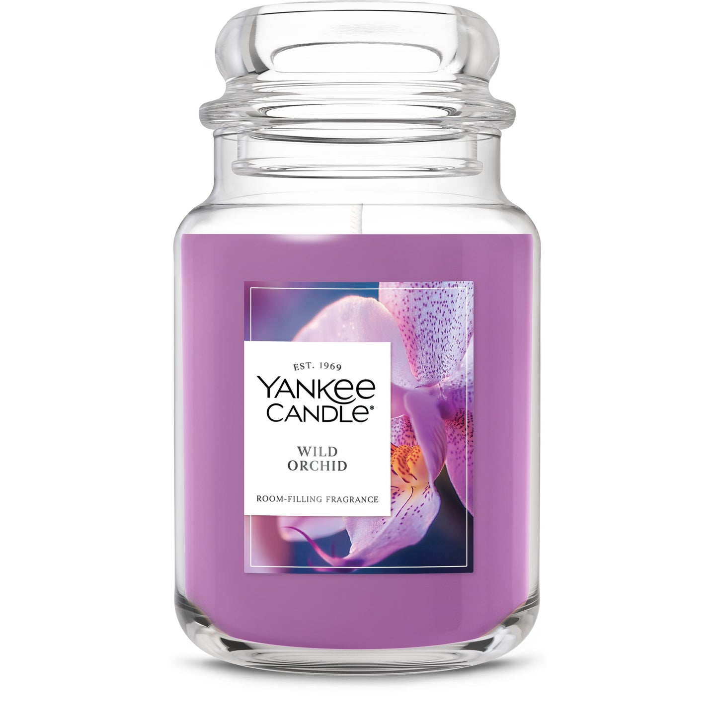 Wild Orchid Daily 1-0927