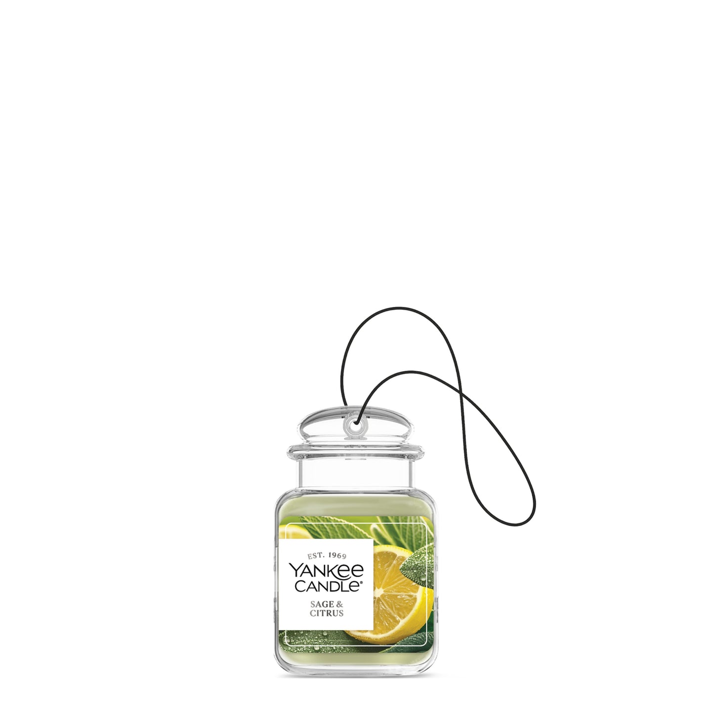 Sage & Citrus Studio 1-0875