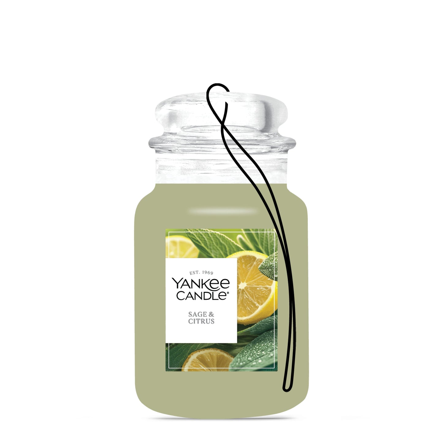 Sage & Citrus Series 1-0662
