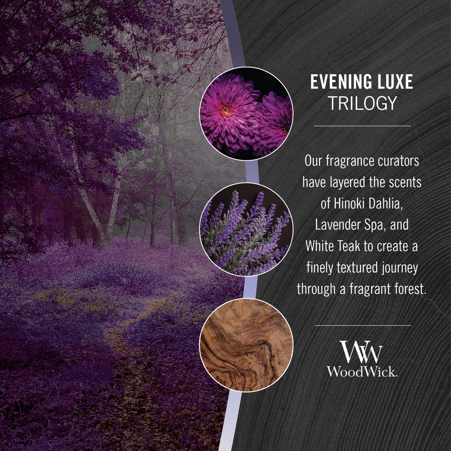 http://yankeecandle.scene7.com/is/image/YankeeCandle/23_WW2D_Evening_Luxe_Trilogy_2880818