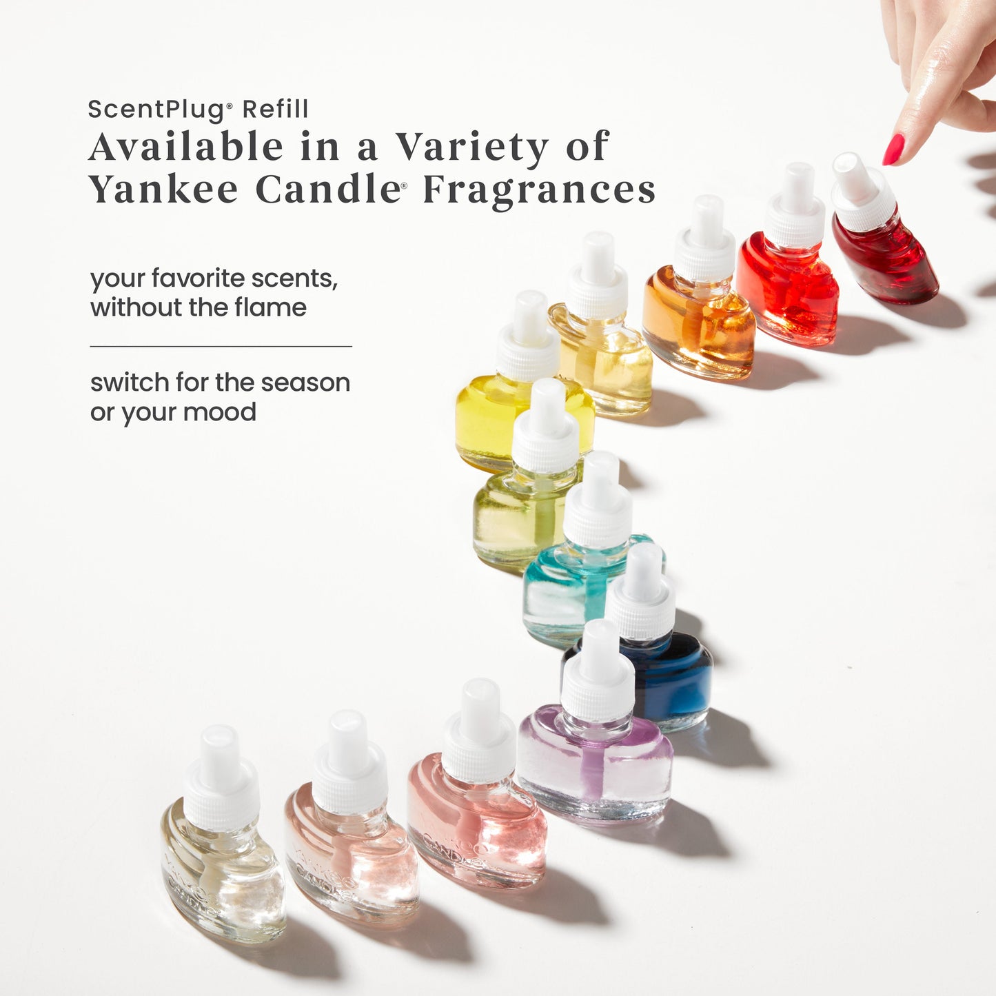 Dried Lavender & Oak