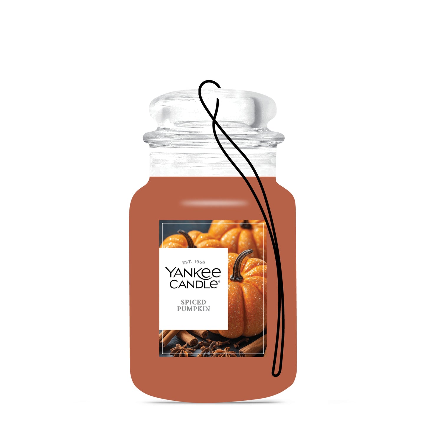 Spiced Pumpkin Series 1-0872
